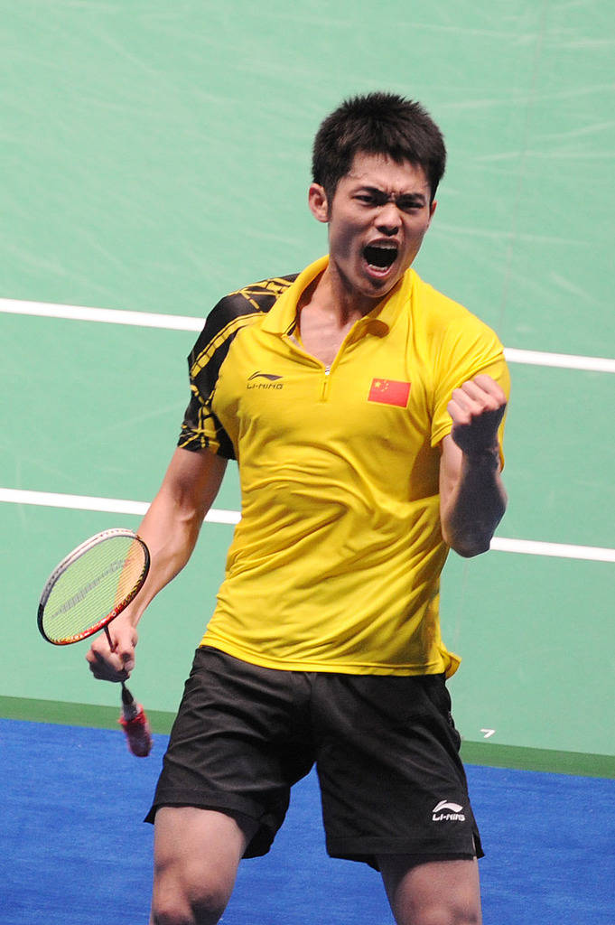 到提升的 到提升的