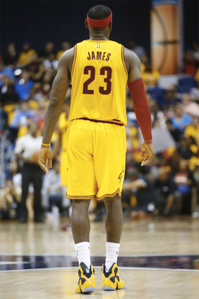 供了新的解 供了新的解